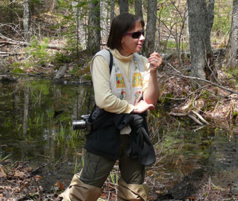 Dr. Aram Calhoun discusses aquatic habitat by a vernal pool